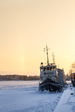 IMG_6710.jpg