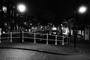 DSC00806.jpg