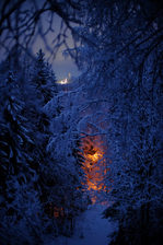 DSCF0774.jpg
