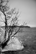 DSCF0795.jpg