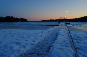 DSCF4119.jpg