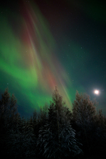 DSCF4185.jpg