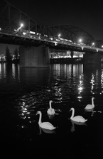 DSCF4383.jpg