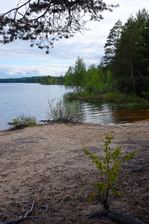 DSCF5459.jpg