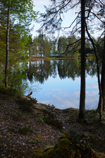 DSCF5484.jpg