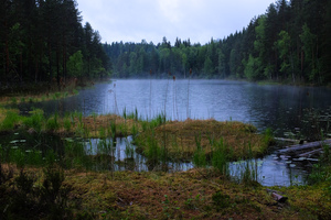 DSCF5585.jpg