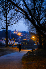 DSCF5729.jpg
