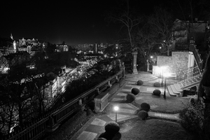DSCF6060.jpg