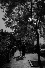 DSCF6363.jpg