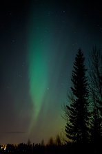 DSCF8041.jpg