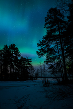 DSCF8051.jpg