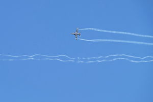 DSCF8217b.jpg