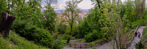 DSCF8421.jpg