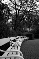 DSCF8454.jpg