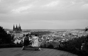 DSCF8463.jpg