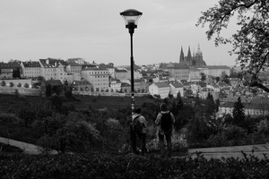 DSCF8470.jpg