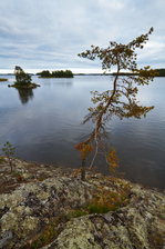 IMG_1457.jpg