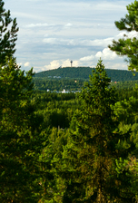 IMG_1639.jpg