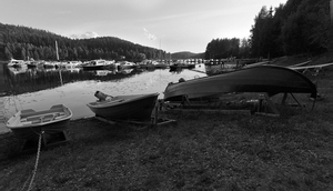 IMG_1701.jpg