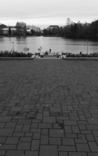 IMG_2686.jpg
