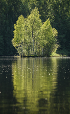 IMG_4604.jpg