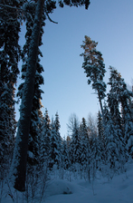 IMG_6778.jpg