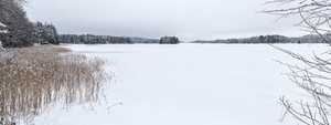 IMG_6848.jpg