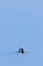 IMG_7371.jpg