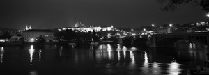 IMG_8548.jpg