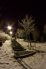 IMG_9335.jpg