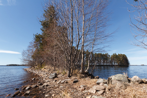 IMG_9901.jpg