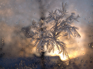 frost.jpg