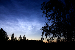 noctilucent2.jpg
